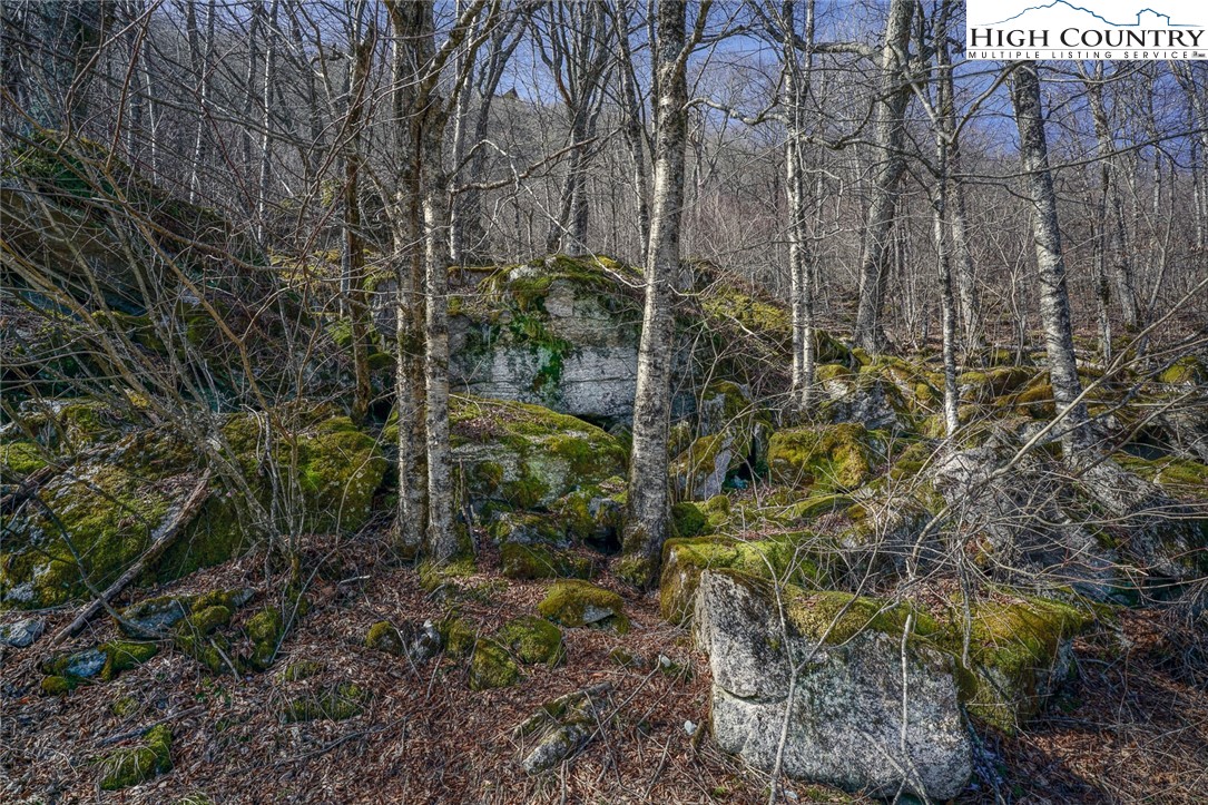 Village Road Beech Mountain, NC 28604 - Photo 16 of 20 Gallery Image 16