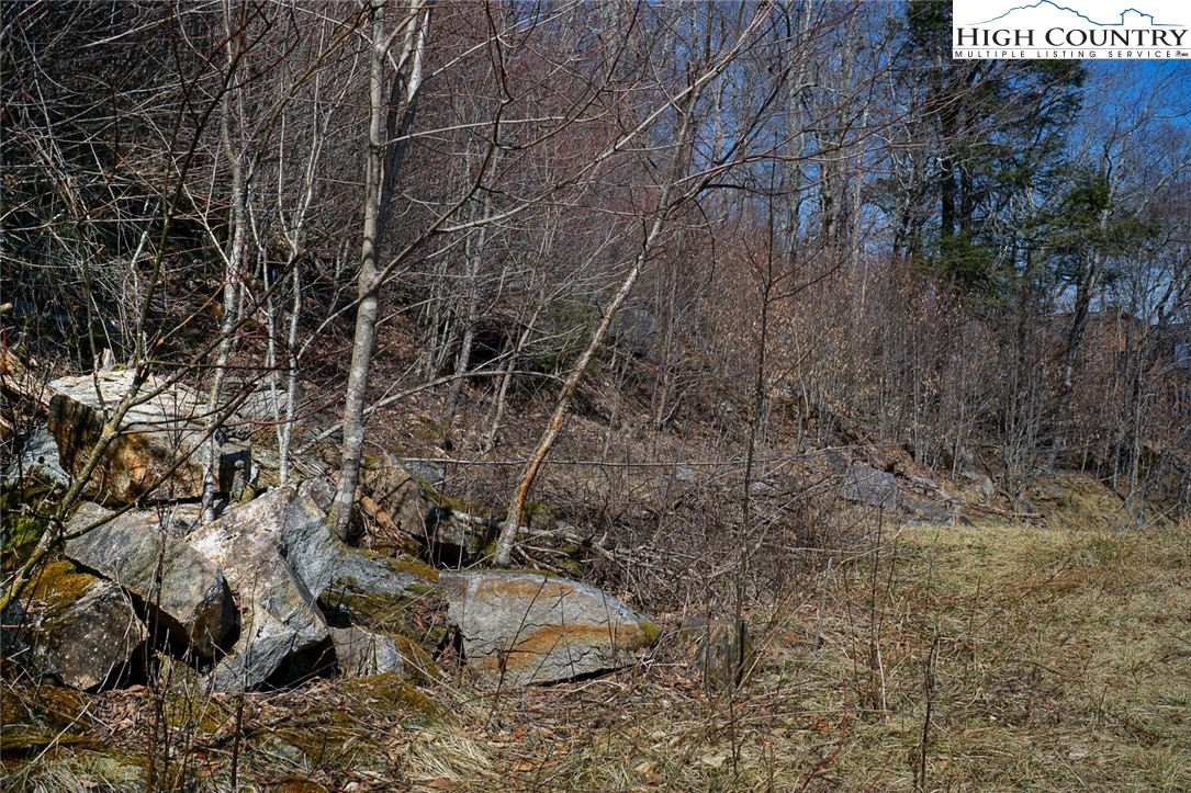 Village Road Beech Mountain, NC 28604 - Photo 17 of 20 Gallery Image 17