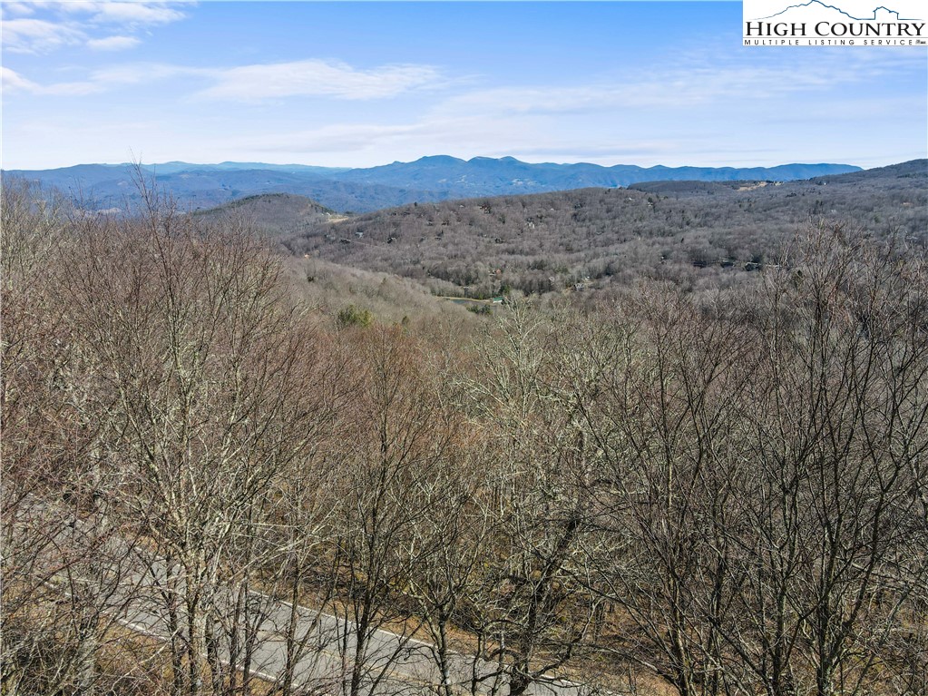 Village Road Beech Mountain, NC 28604 - Photo 19 of 20 Gallery Image 19
