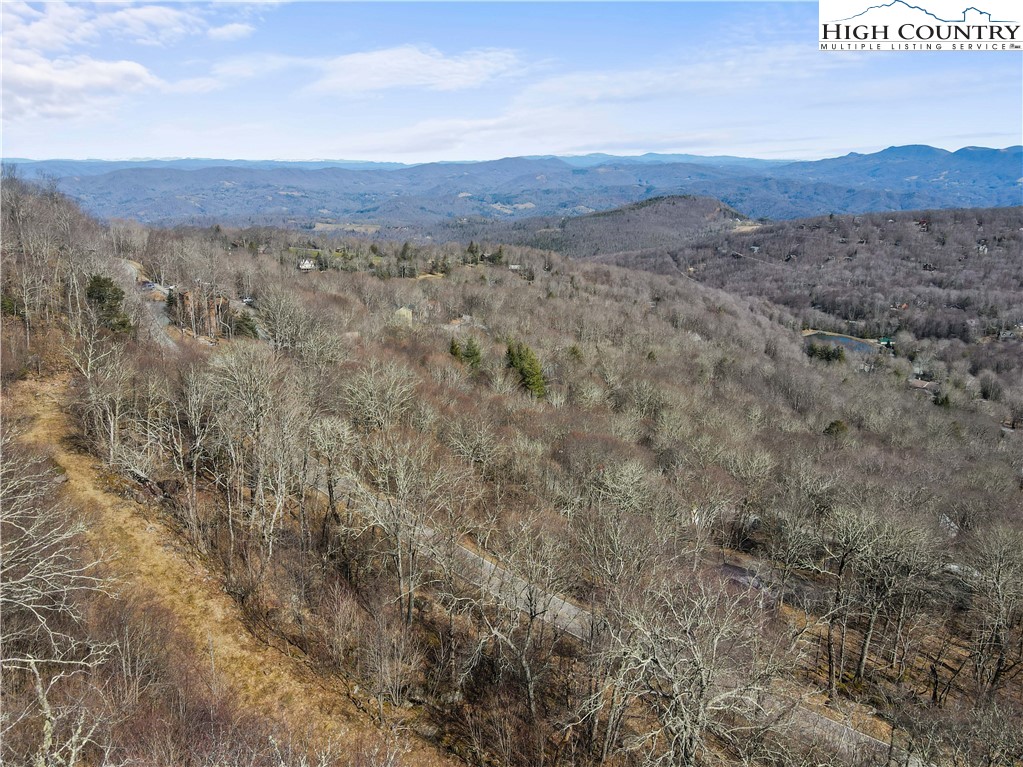 Village Road Beech Mountain, NC 28604 - Photo 20 of 20 Gallery Image 20