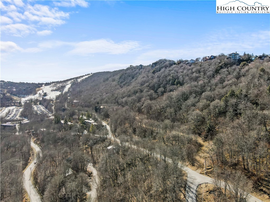Village Road Beech Mountain, NC 28604 - Photo 3 of 20 Gallery Image 3