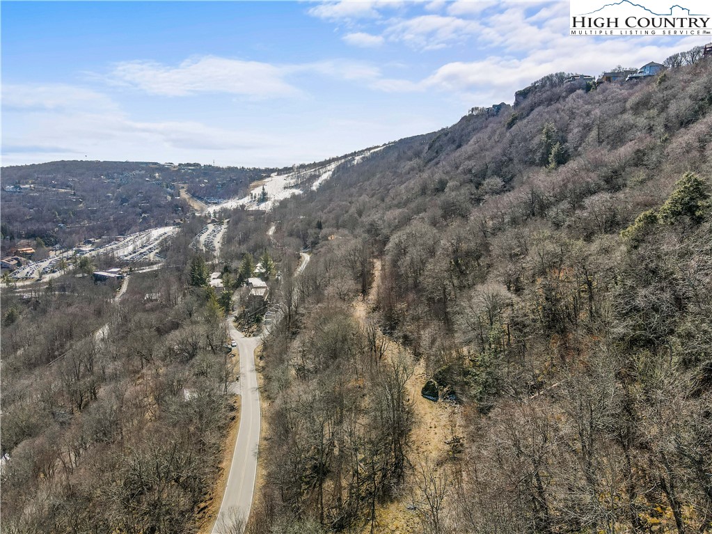 Village Road Beech Mountain, NC 28604 - Photo 4 of 20 Gallery Image 4