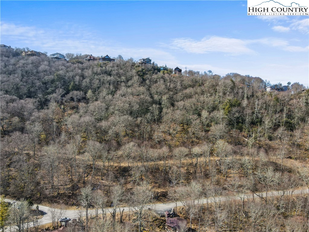 Village Road Beech Mountain, NC 28604 - Photo 5 of 20 Gallery Image 5