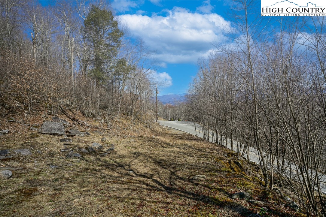 Village Road Beech Mountain, NC 28604 - Photo 6 of 20 Gallery Image 6