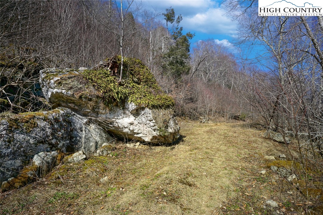 Village Road Beech Mountain, NC 28604 - Photo 10 of 20 Gallery Image 10