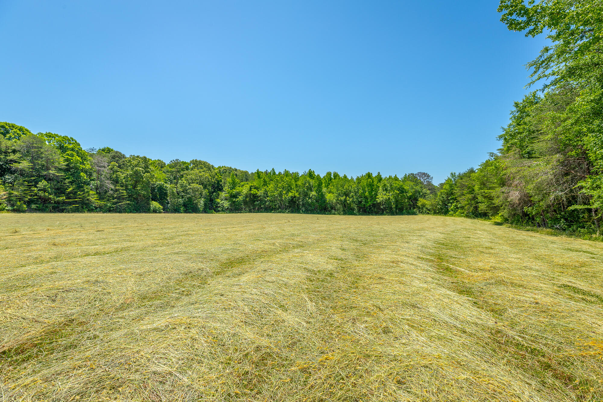 1655 West Cove Road Chickamauga, GA 30707 - Photo 15 of 62 1655 W Cove Road HD-66