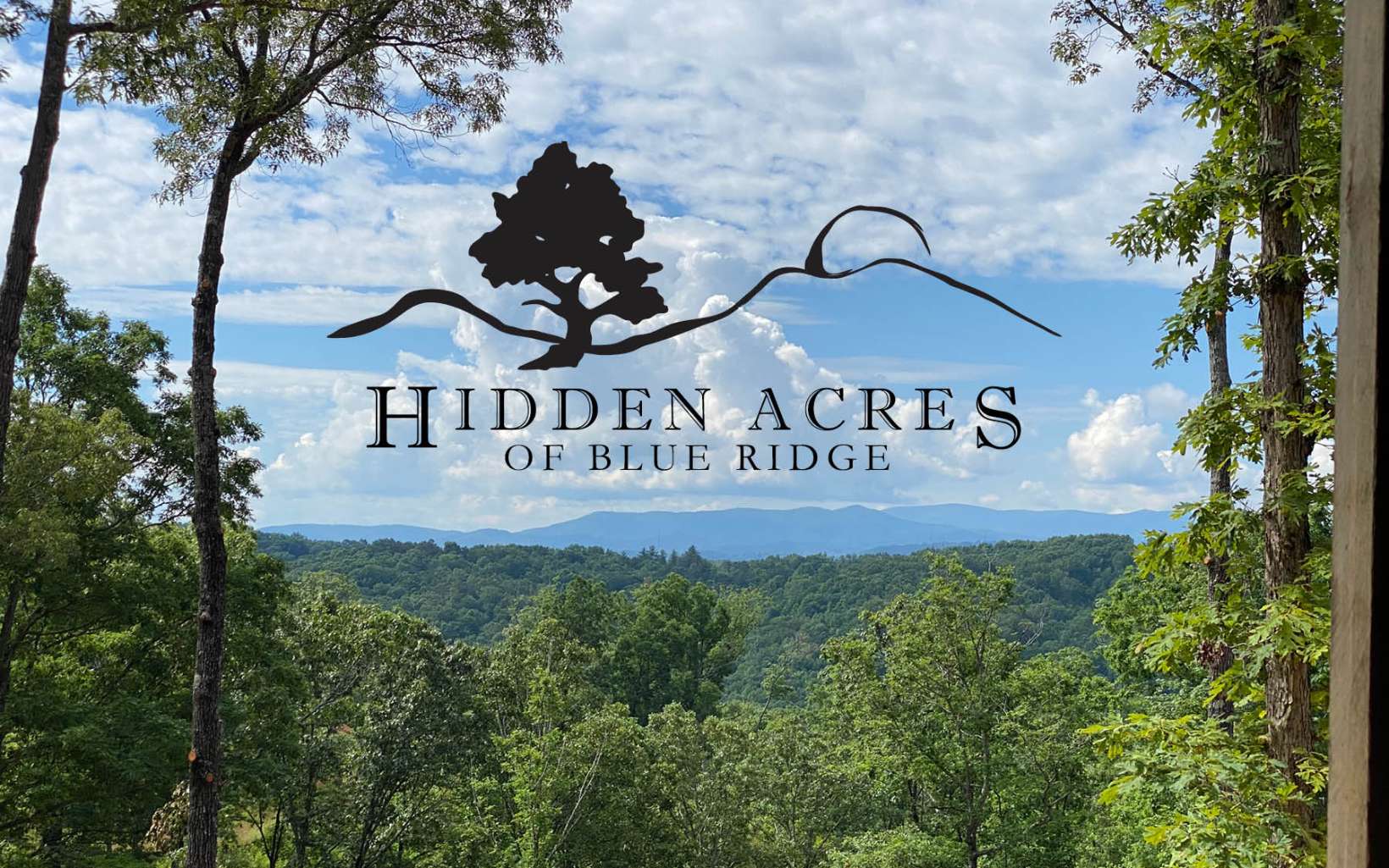 1 Hidden Acres Blue Ridge Blue Ridge, GA 30513 - Photo 1 of 4 a view of sign board and a building