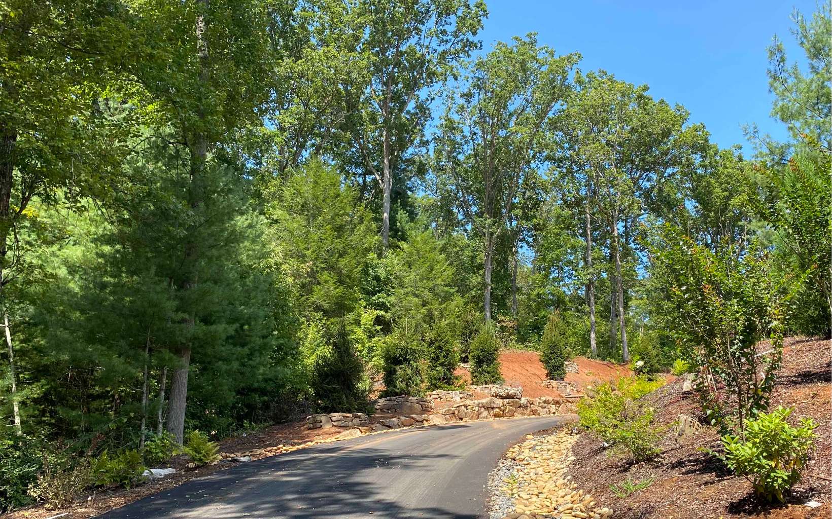 1 Hidden Acres Blue Ridge Blue Ridge, GA 30513 - Photo 2 of 4 a pathway of a yard
