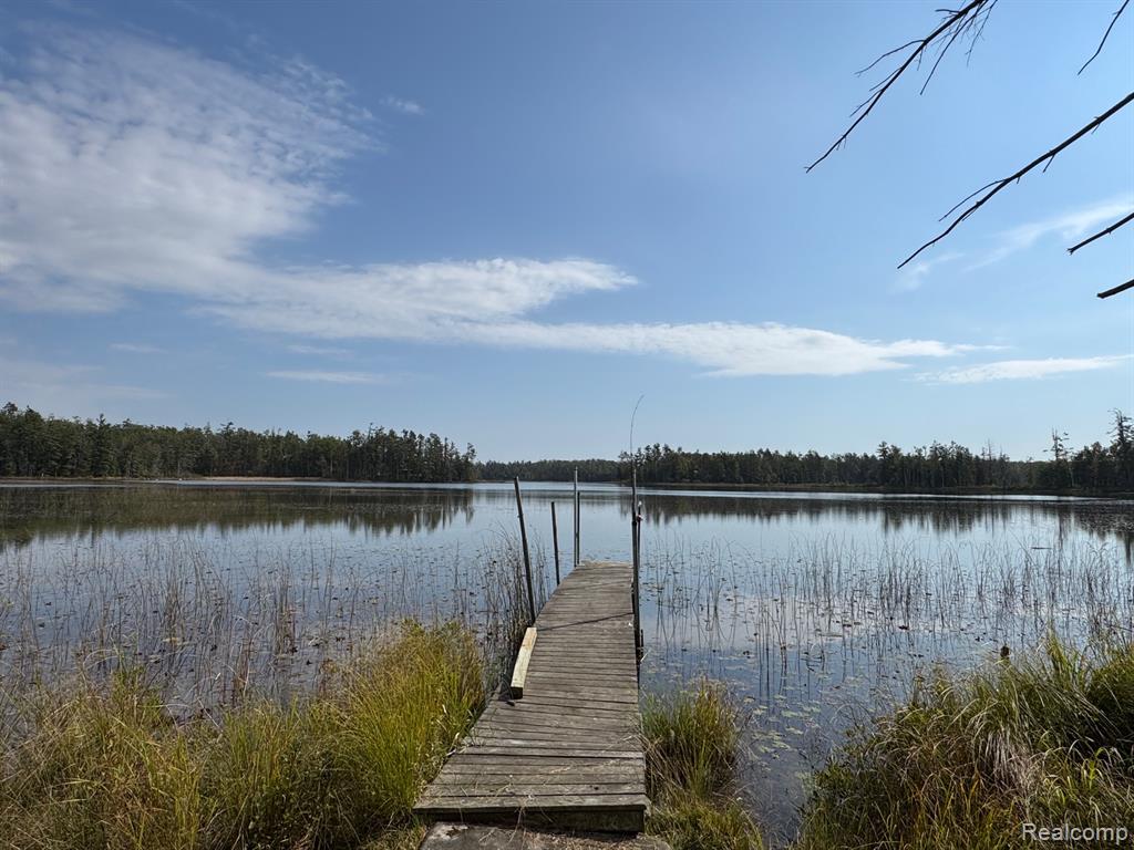 1475 Aarons Road Lewiston, MI 49756 - Photo 14 of 84