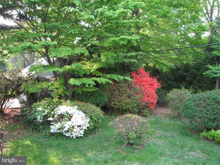 409 Sherman Road Springfield, PA 19064 - Photo 17 of 19