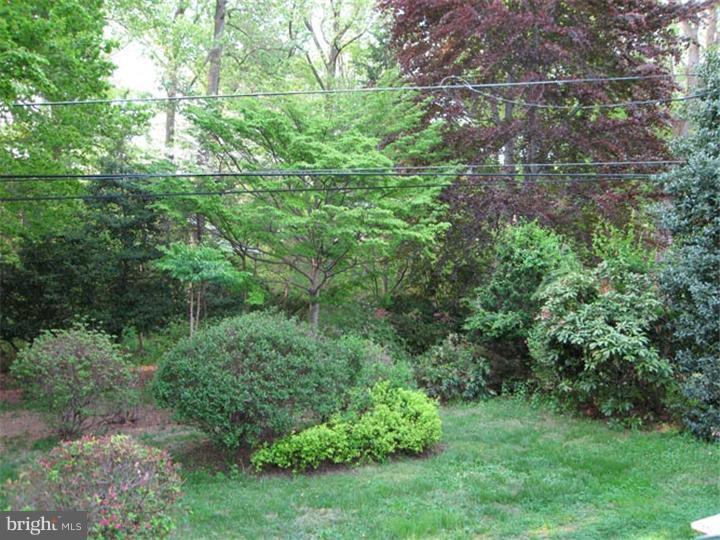 409 Sherman Road Springfield, PA 19064 - Photo 18 of 19