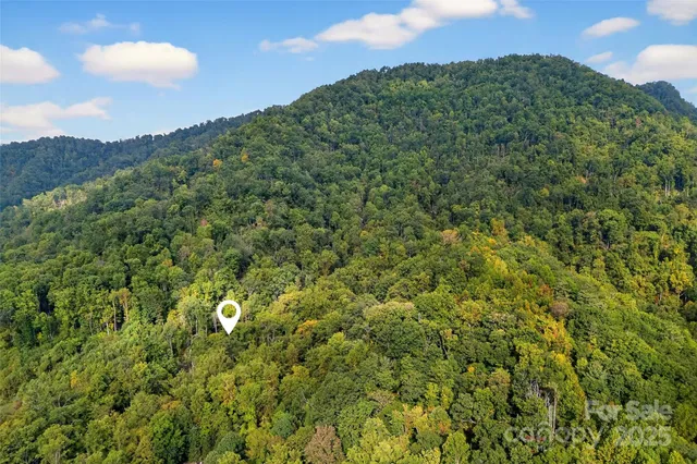 a view of a green yard with a building in the background