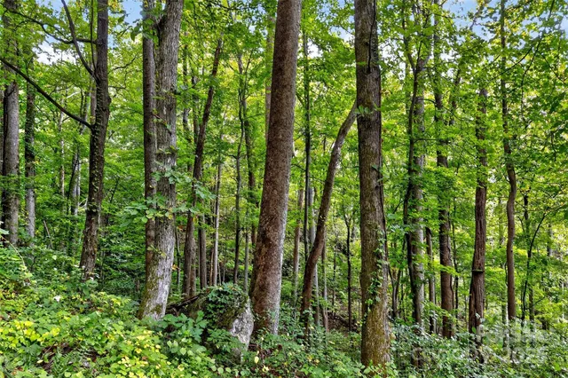 a view of outdoor space and garden