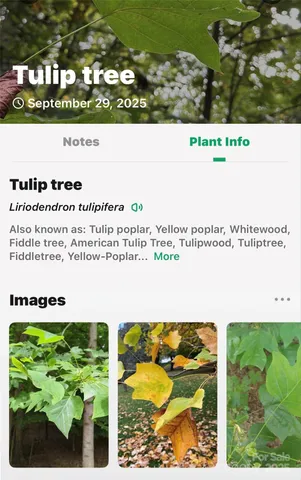 a picture of a book and a yard