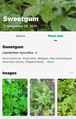 a picture of a bench