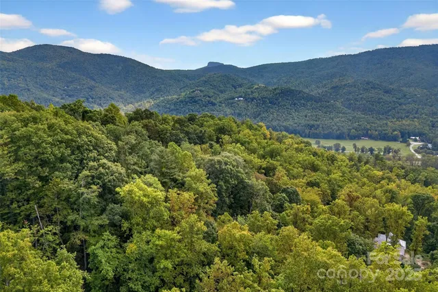 a view of a lush green hillside and a building