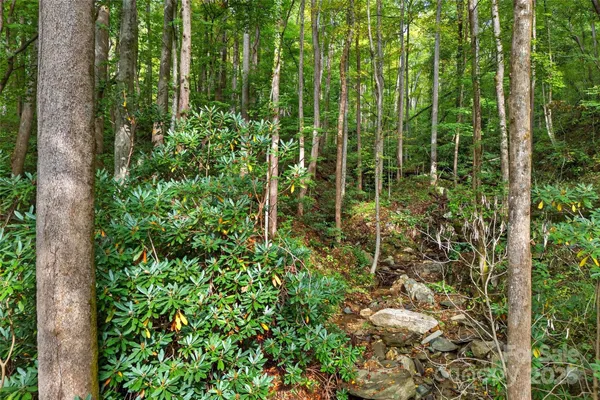 a view of a garden