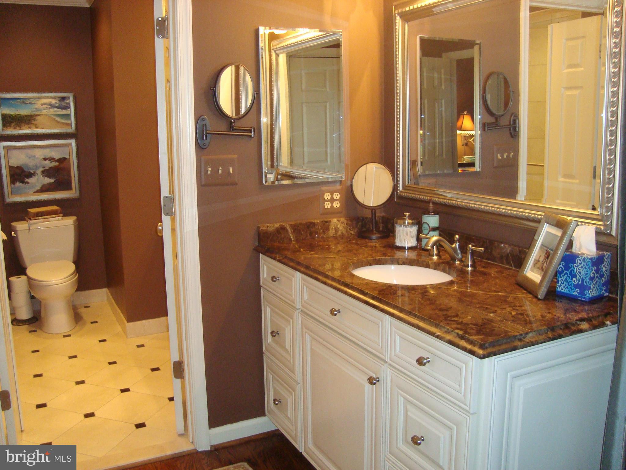 2124 Highland Ridge Drive Phoenix, MD 21131 - Photo 20 of 30 Beaut Remodeled MasterBath