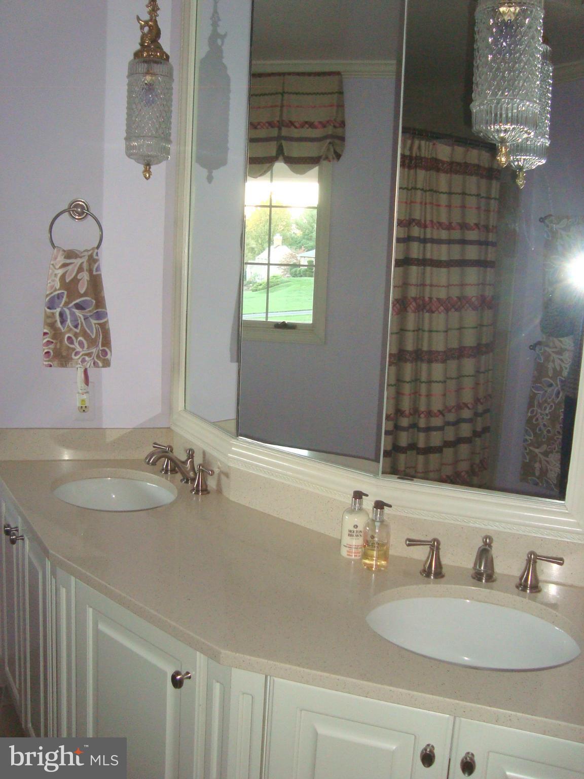 2124 Highland Ridge Drive Phoenix, MD 21131 - Photo 26 of 30 Curved Double Sink Vanity In Remodeled Bath #2