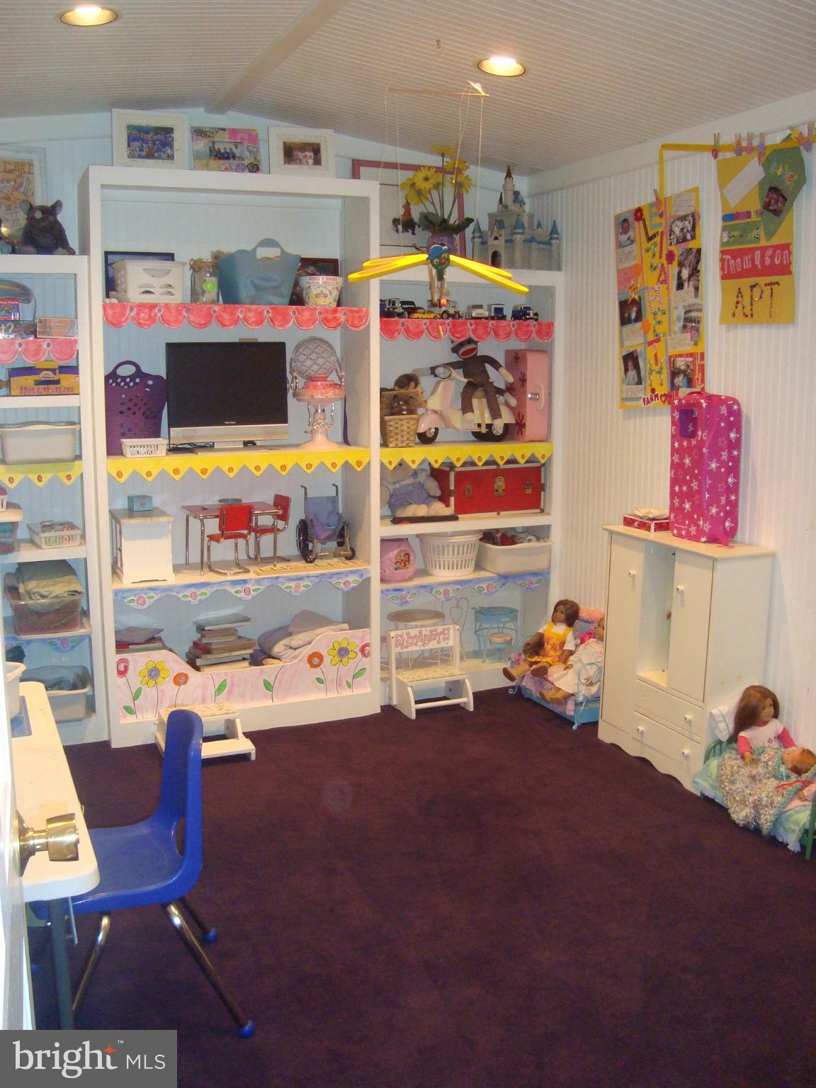 2124 Highland Ridge Drive Phoenix, MD 21131 - Photo 29 of 30 Lower Level Play Room