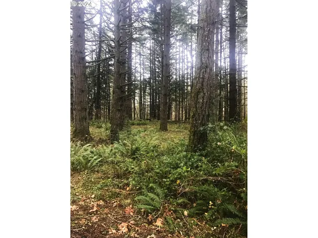 a view of backyard with green space