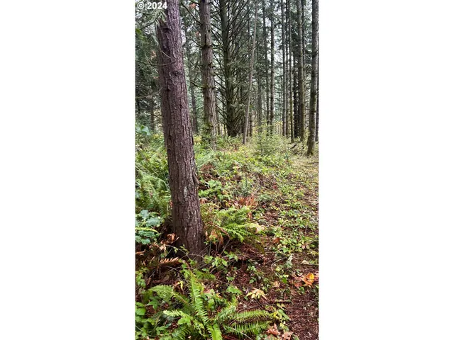 a close up of a plant in a garden
