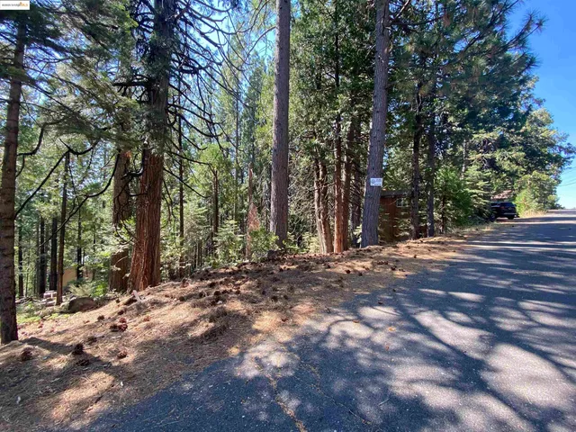 a view of outdoor space with trees