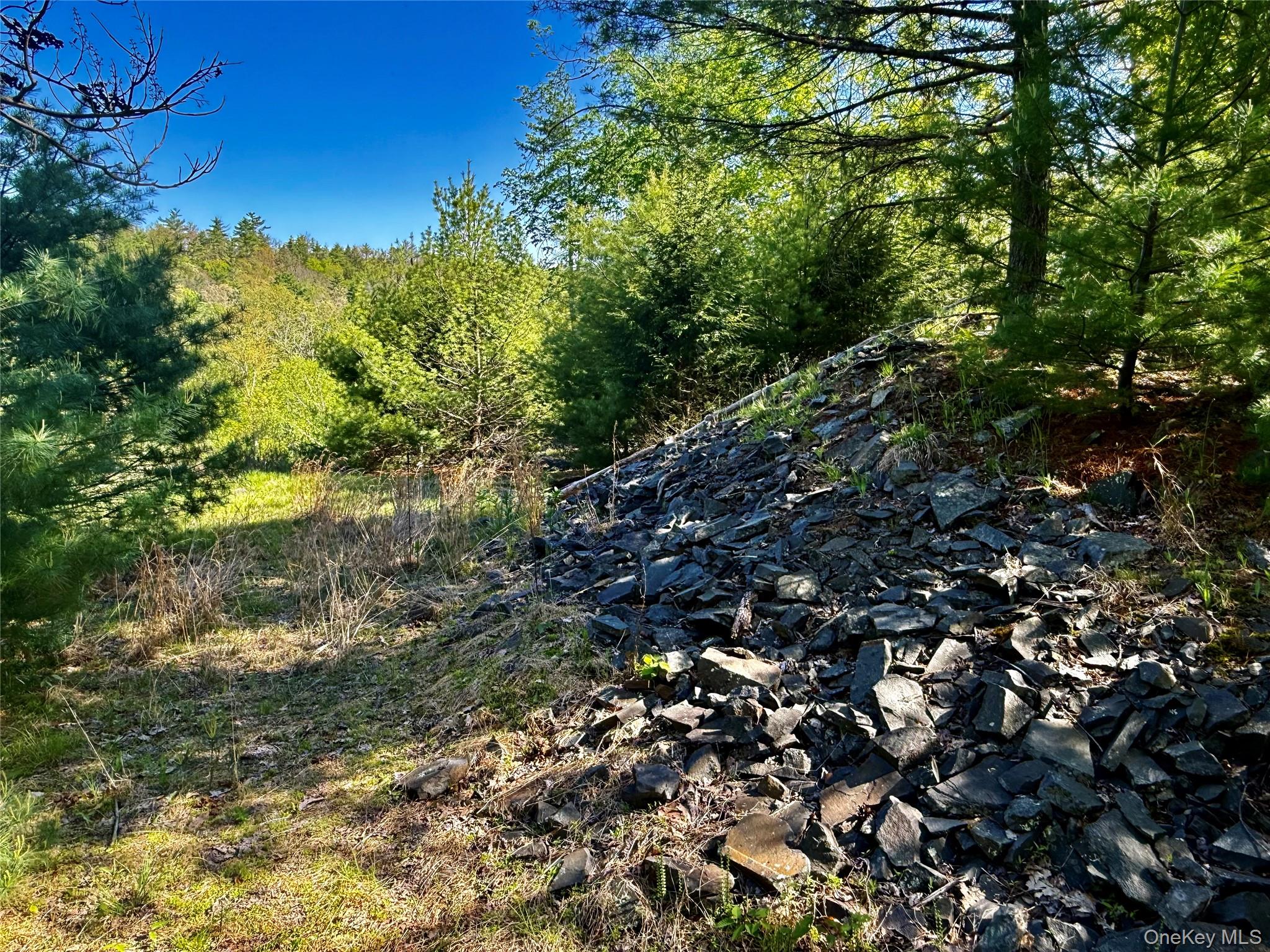 101 Stone Road Hurley, NY 12491 - Photo 4 of 24 a view of a tree