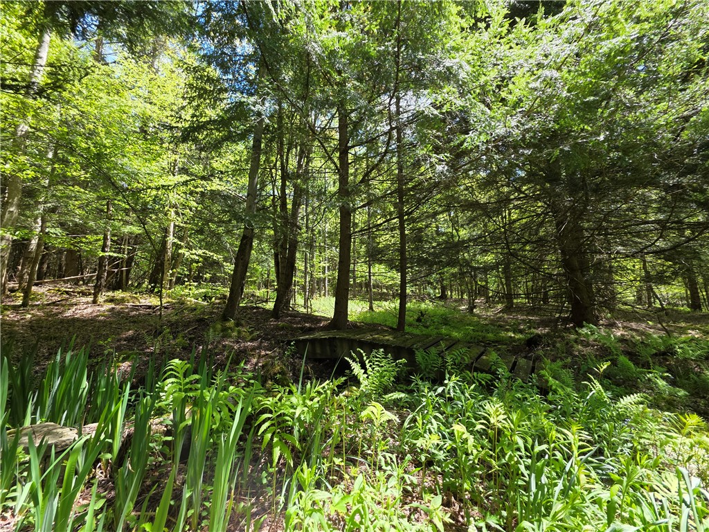3040 Quigg Hollow Road Andover, NY 14806 - Photo 36 of 46