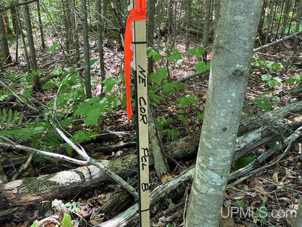 Parcel B Webb Road Grand Marais, MI 49839 - Photo 22 of 28