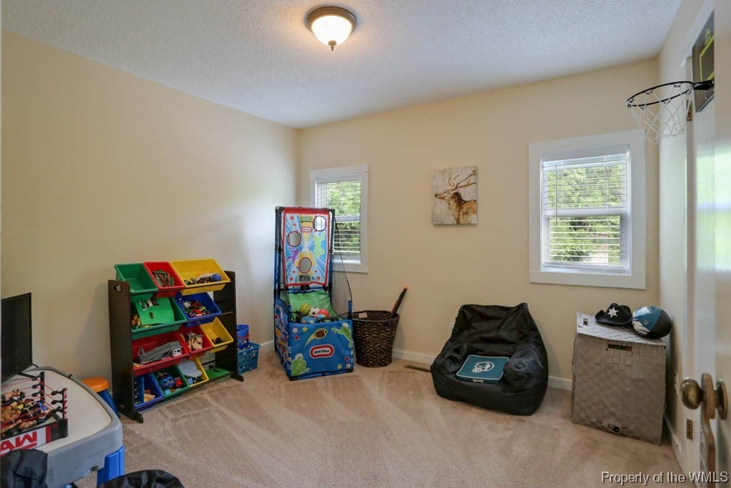 140 Sand Hill Road Toano, VA 23168 - Photo 23 of 34 Gallery Image 23