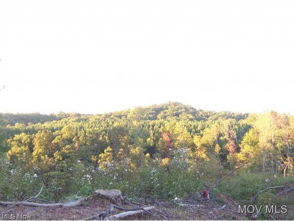 0 Hard Rock Ridge Elizabeth, WV 26143 - Photo 16 of 16