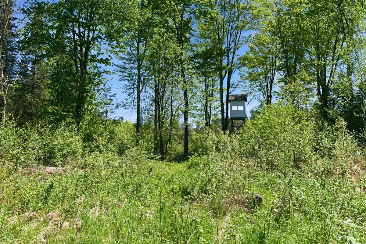 0 County Highway J Deerbrook, WI 54424 - Photo 26 of 78