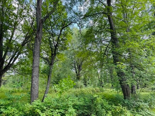 11001 Little George Lake Road Gladwin, MI 48624 - Photo 32 of 45