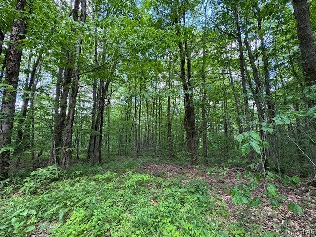 Harris Road Cincinnatus, NY 13040 - Photo 6 of 22 Gallery Image 6