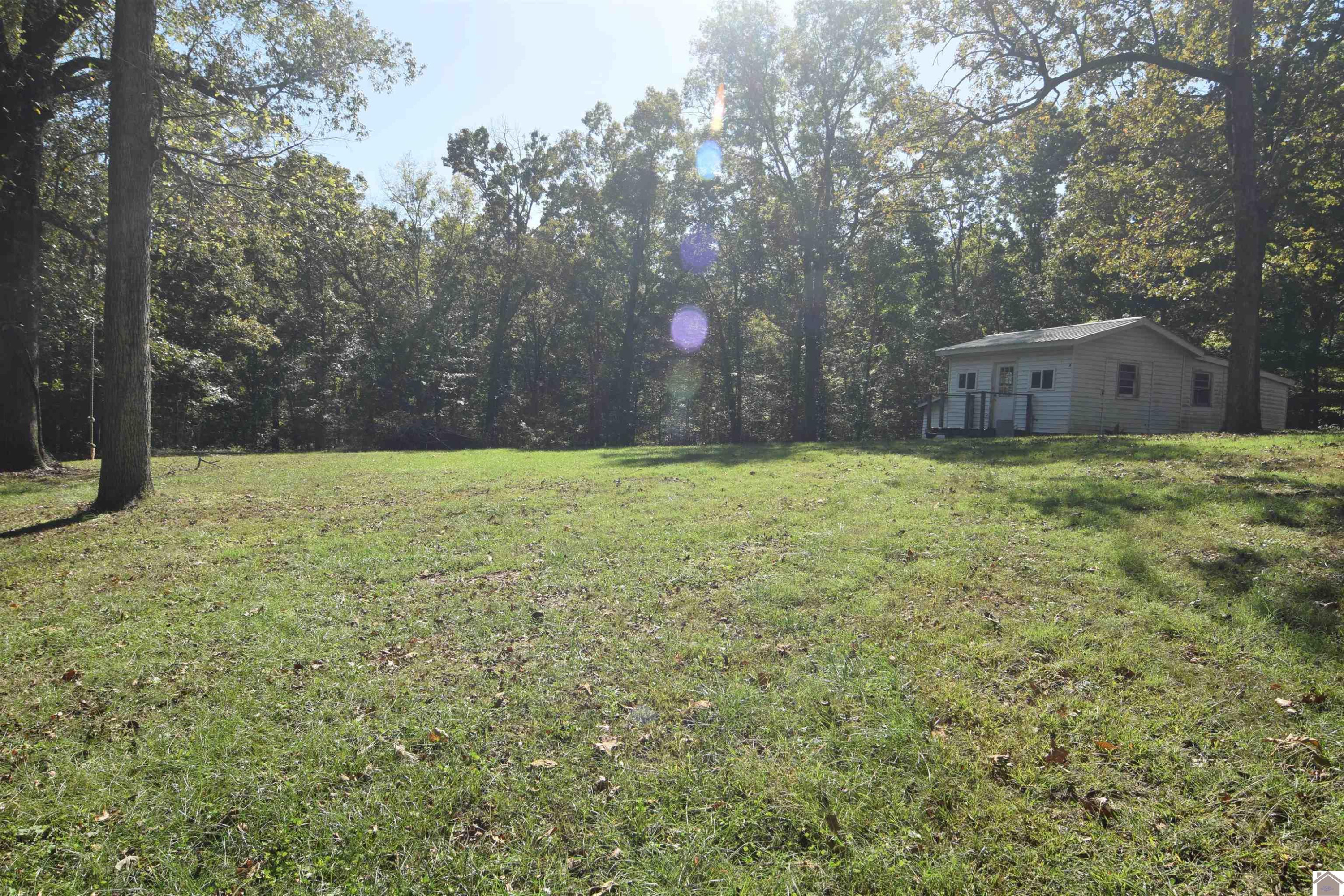 421 McNeely Road Benton, KY 42025 - Photo 34 of 50 Photo 34
