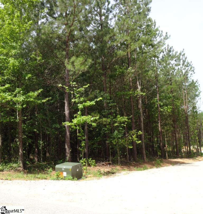 North Southerlin Road, Unit TRACT B Taylors, SC 29687 - Photo 11 of 13 Gallery Image 11