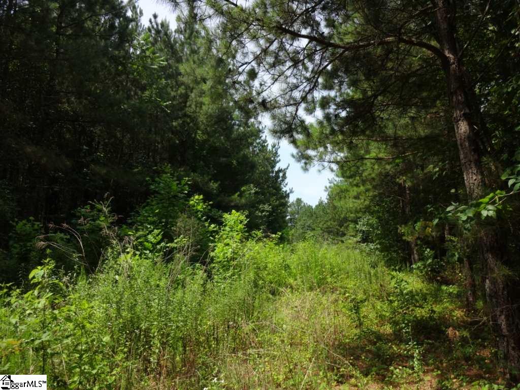 North Southerlin Road, Unit TRACT B Taylors, SC 29687 - Photo 13 of 13 Gallery Image 13