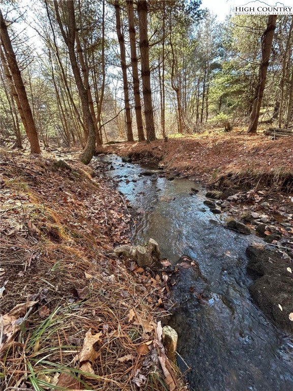 a view of dirt yard with a large tree