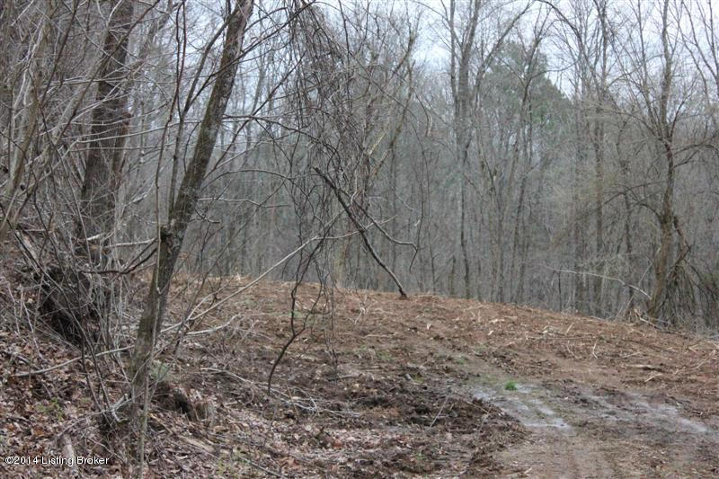 0 White Ridge Road Burkesville, KY 42717 - Photo 11 of 13 161 (Medium)