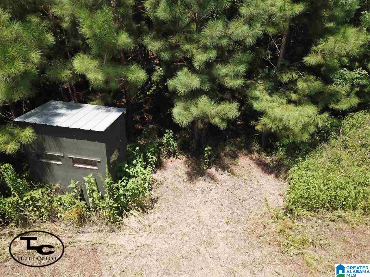 43 Highway, Unit CALVARY Demopolis, AL 36732 - Photo 9 of 9