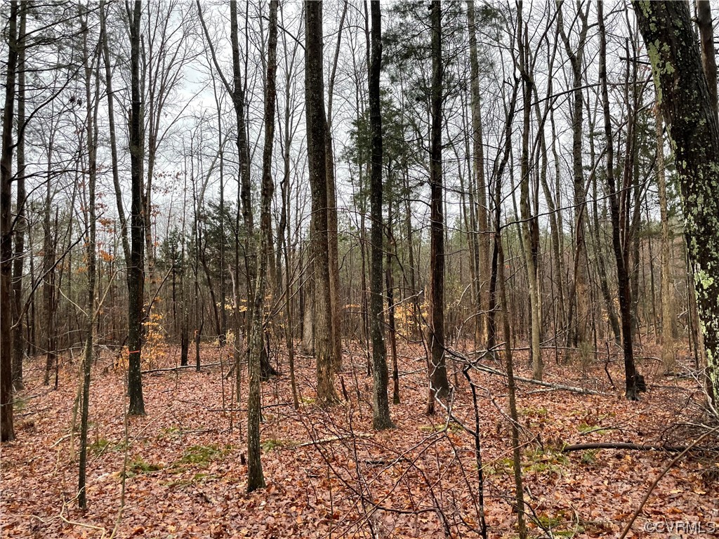0 Doswell Town Road Meherrin, VA 23954 - Photo 1 of 13 a view of outdoor space with lots of trees