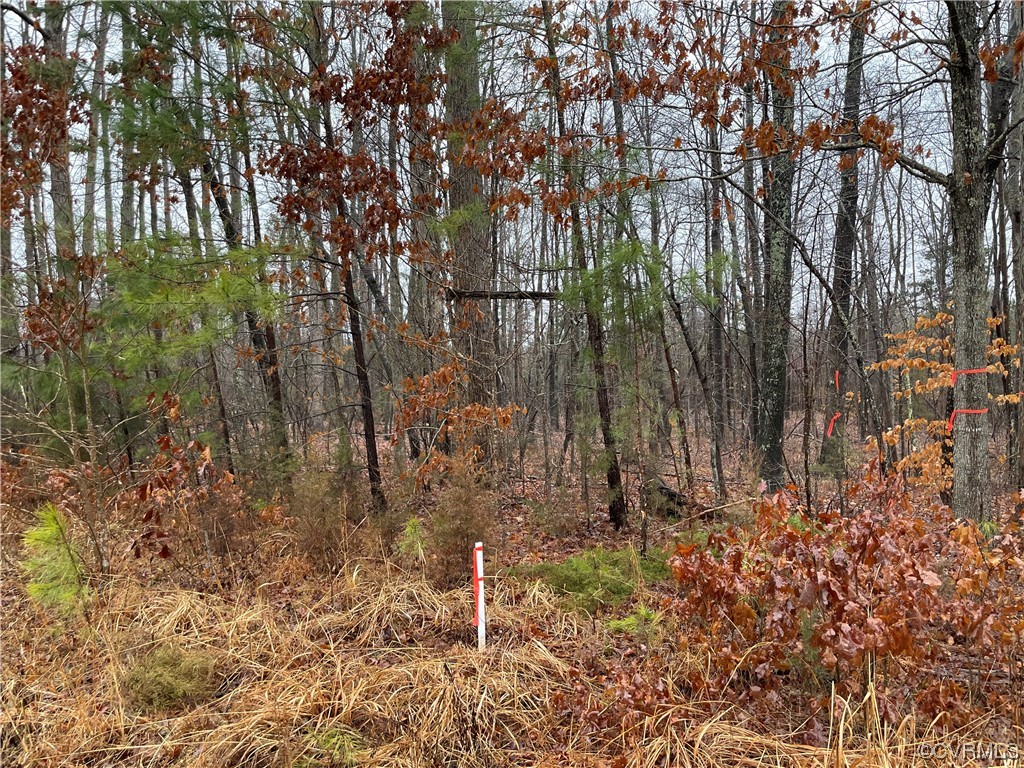 0 Doswell Town Road Meherrin, VA 23954 - Photo 3 of 13 a backyard of a house with lots of green space and chair