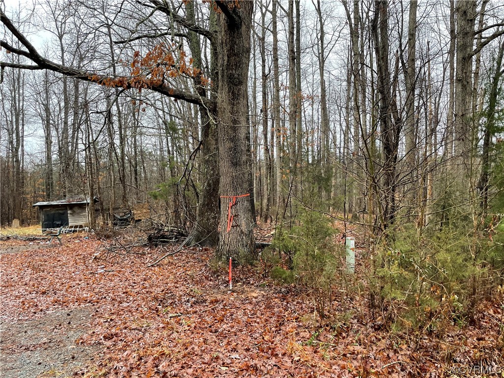 0 Doswell Town Road Meherrin, VA 23954 - Photo 6 of 13 a backyard of a house with lots of green space