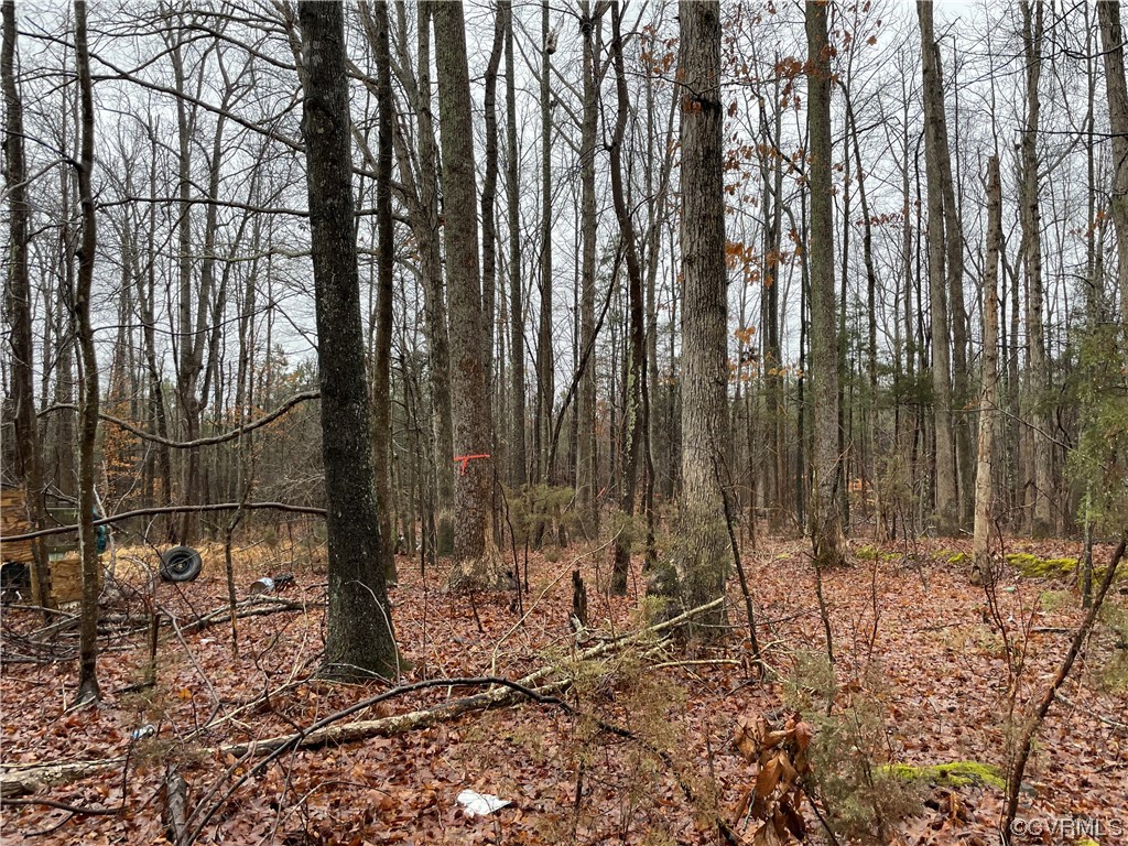 0 Doswell Town Road Meherrin, VA 23954 - Photo 8 of 13 a backyard of a house with lots of green space and chair