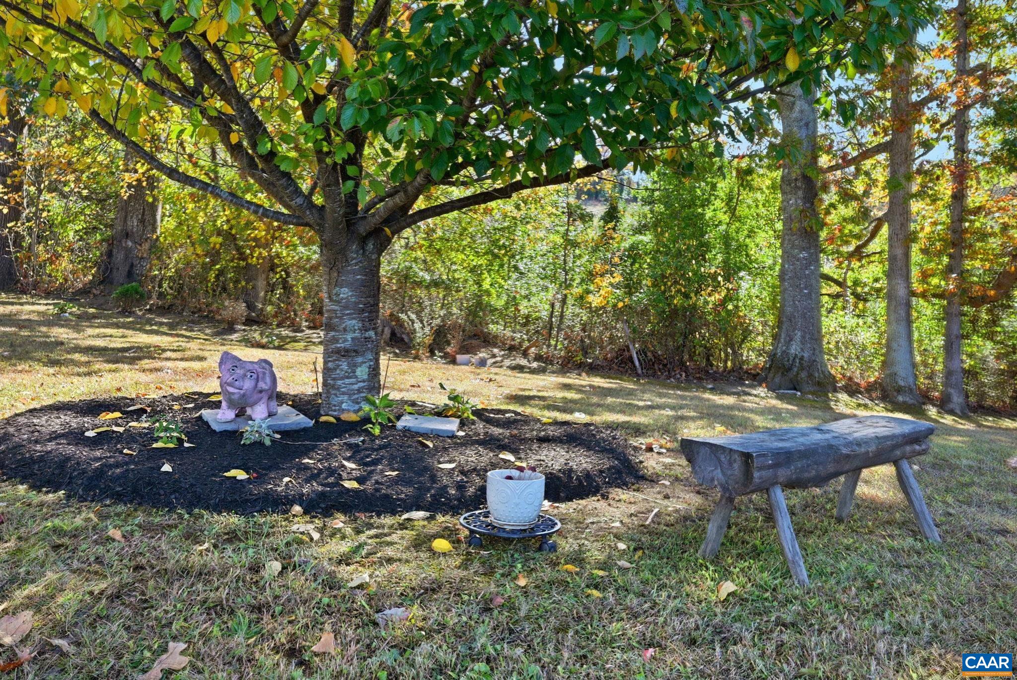 5356 Amicus Road Ruckersville, VA 22968 - Photo 36 of 46 a view of a backyard with a fountain