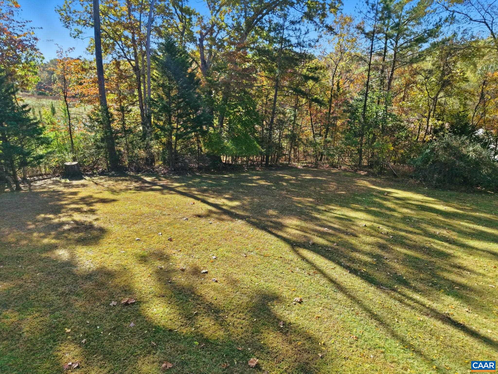 5356 Amicus Road Ruckersville, VA 22968 - Photo 42 of 46 a view of a yard with trees