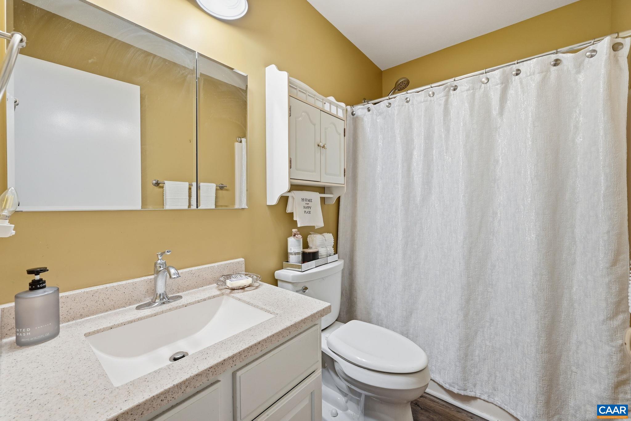 5356 Amicus Road Ruckersville, VA 22968 - Photo 8 of 46 a bathroom with a sink a toilet and a mirror