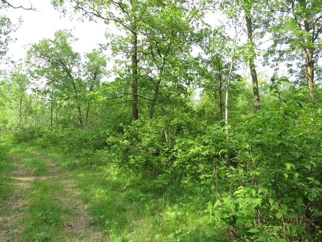 $117,000 | Tbd 32nd Avenue Southwest, Backus, MN 56435