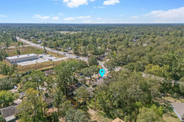 a park view with large trees